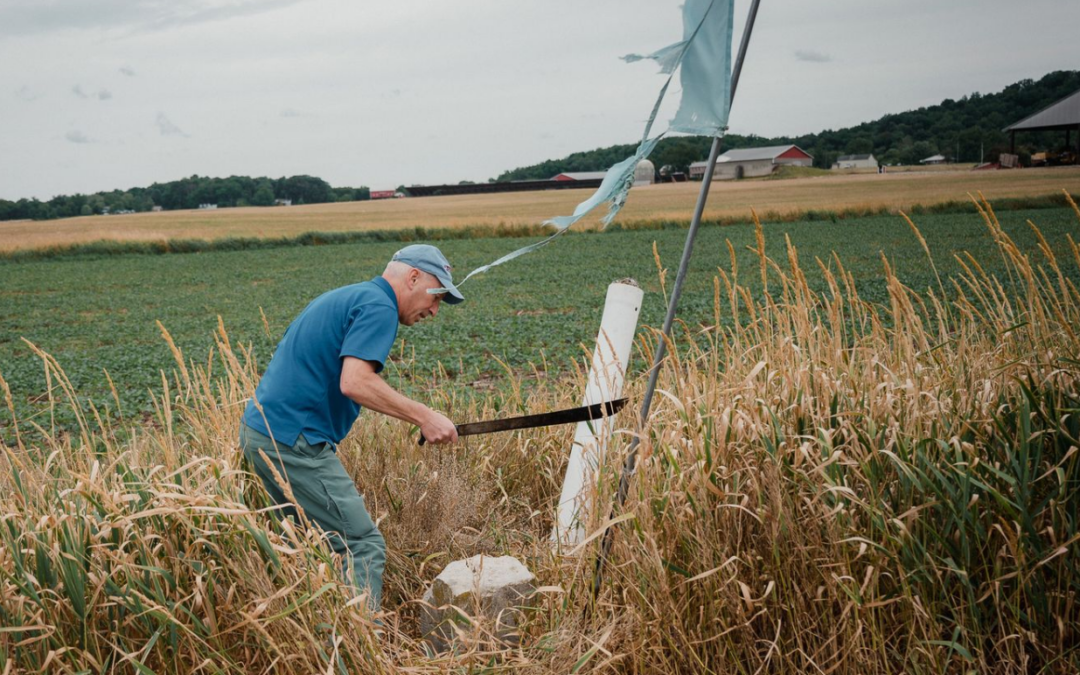 Volunteers are Racing to Save the Crumbling Mason-Dixon Line